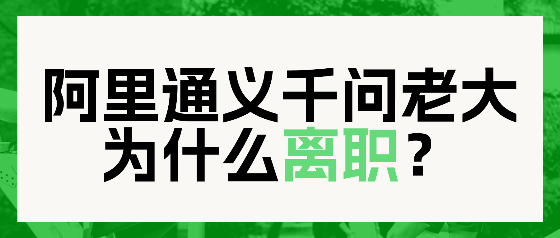 专业不是计算机，32岁的他怎么成了阿里最年轻的AI掌舵人？