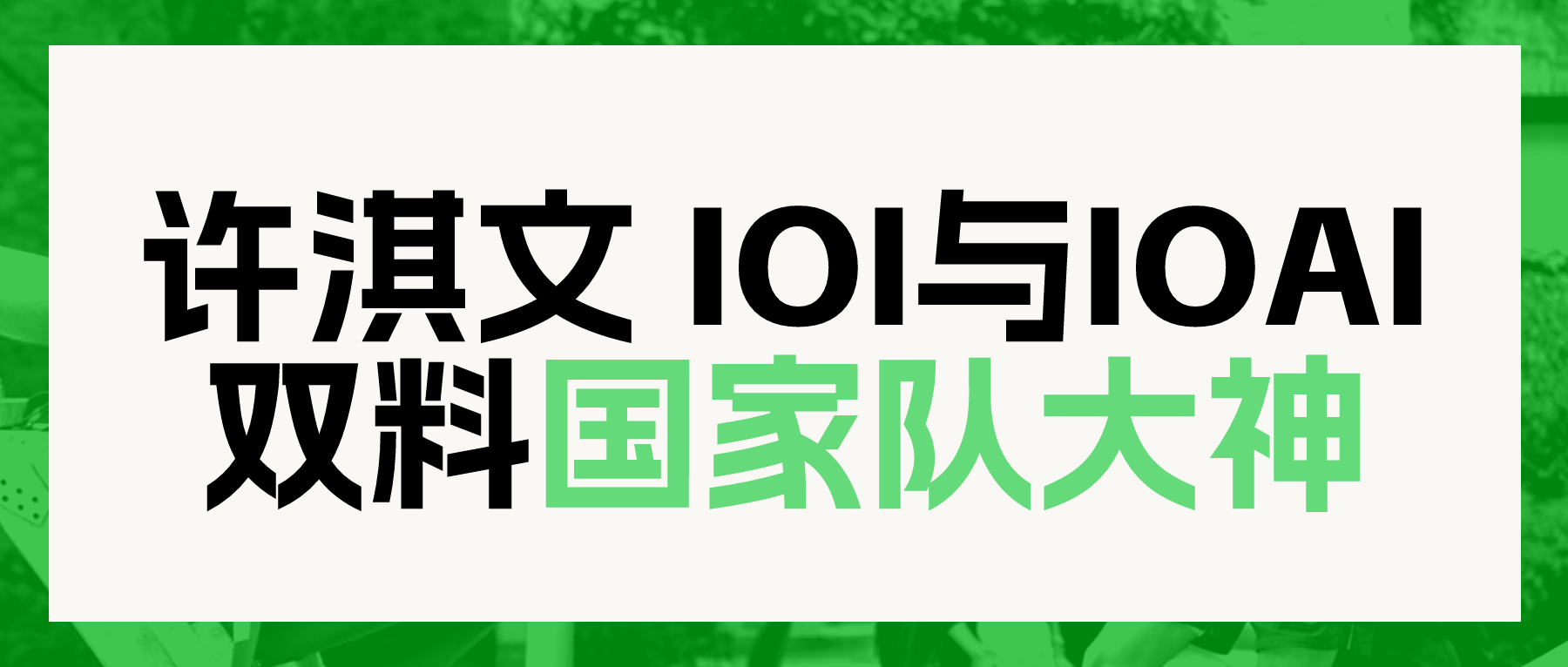 IOI2026国家队第一名的他，IOAI也拿到了银牌