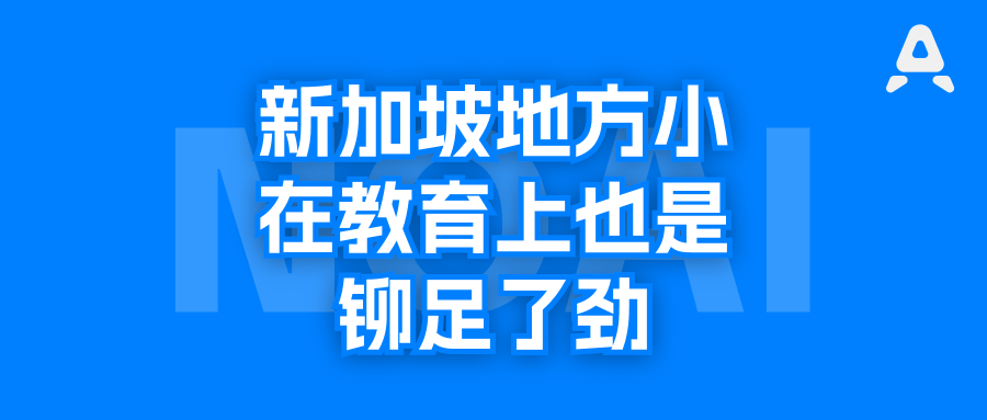 新加坡南洋理工大学官方暑期AI营，导师来自训练IOAI国家队的CCDS学院
